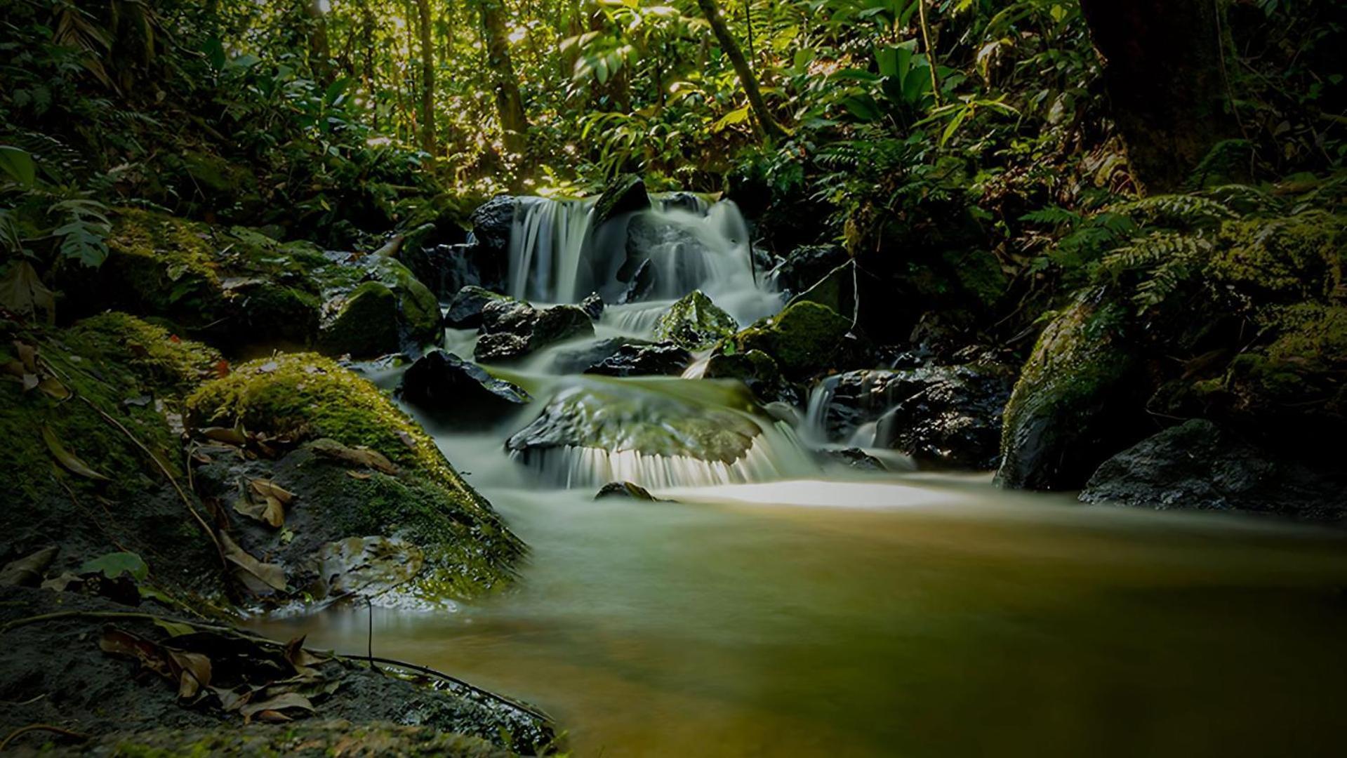 Hotel Fazenda Morros Verdes Ecolodge Ібіуна Екстер'єр фото